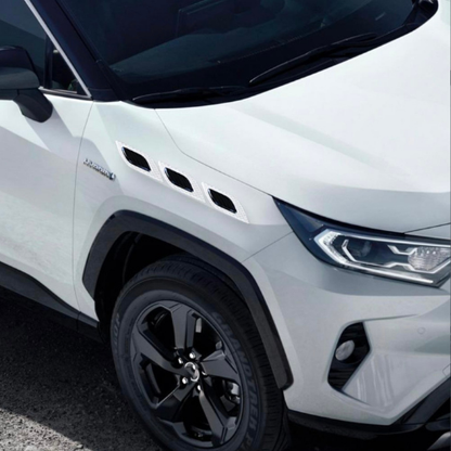 1a94743221a0fcabad2c534b32f1781d